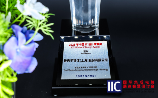 普冉半导体斩获IIC 2025年度技术突破奖！用芯定义未来(图1)